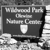 Wildwood Park