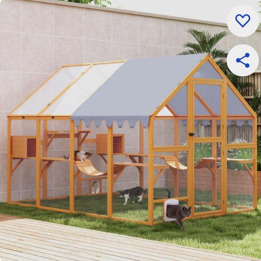 Dream Catio