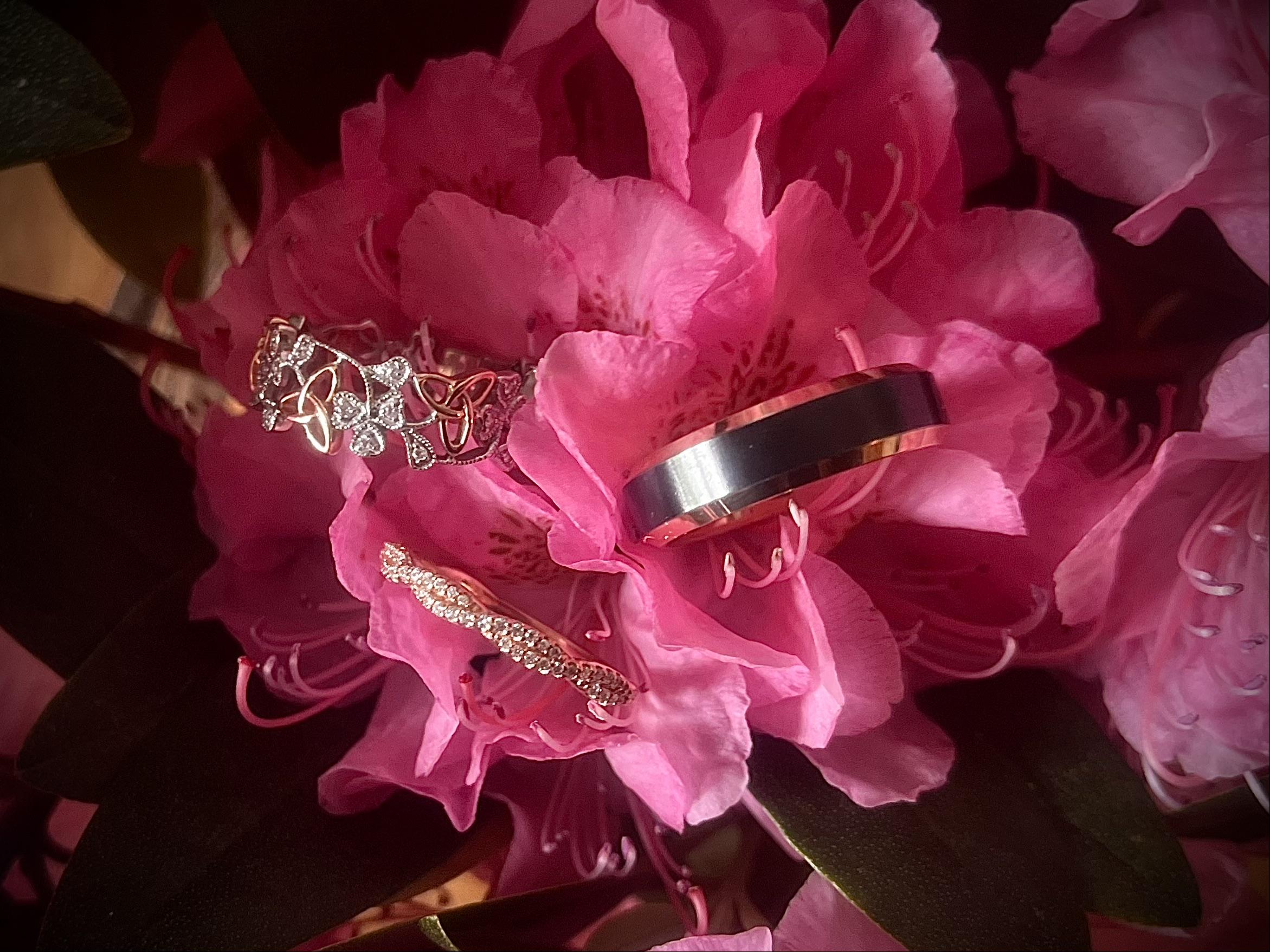 The Wedding Website of Laura Harrington and Paul Luongo
