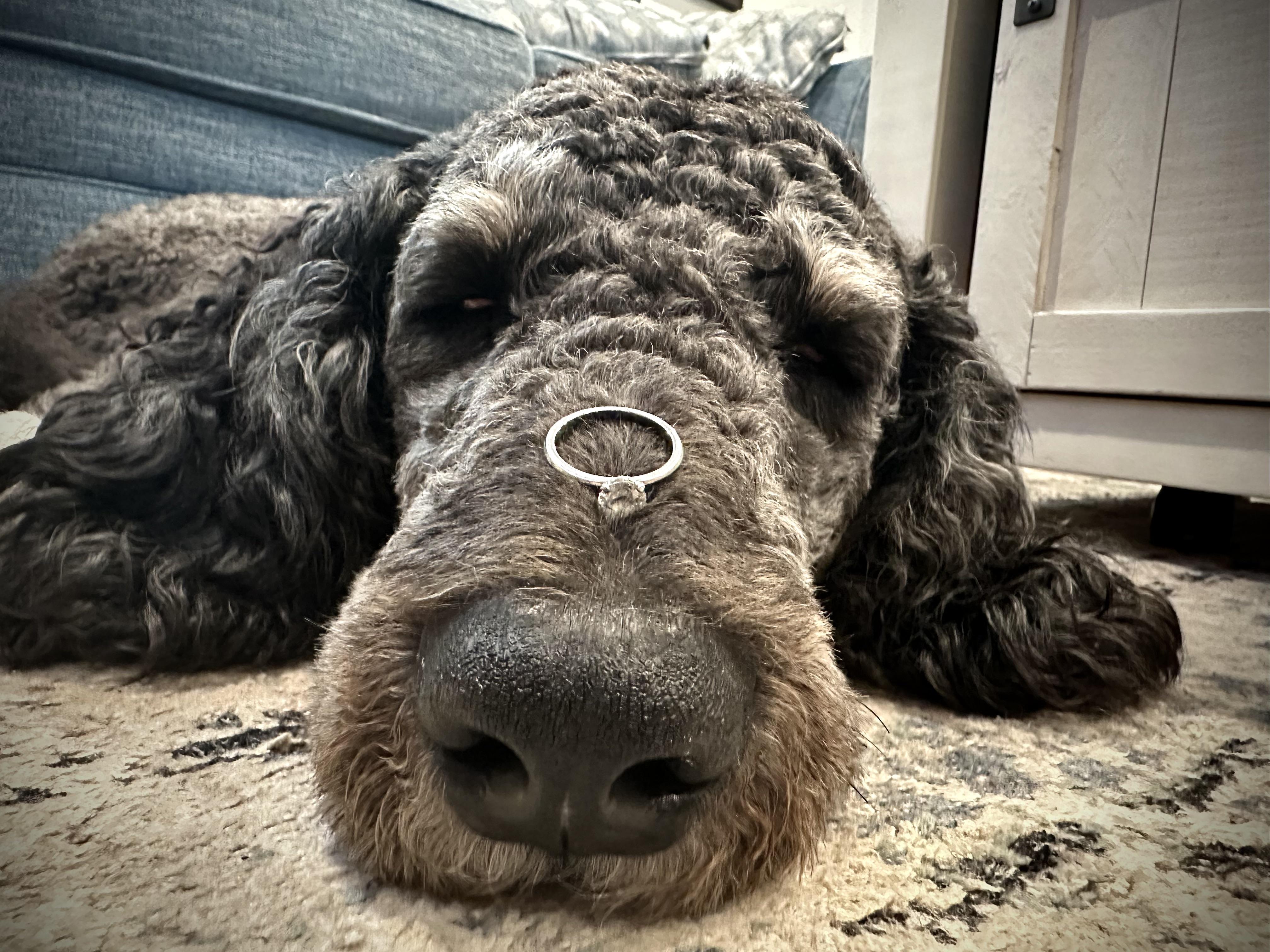 The Wedding Website of Kristen McGinn and Reid Roberge