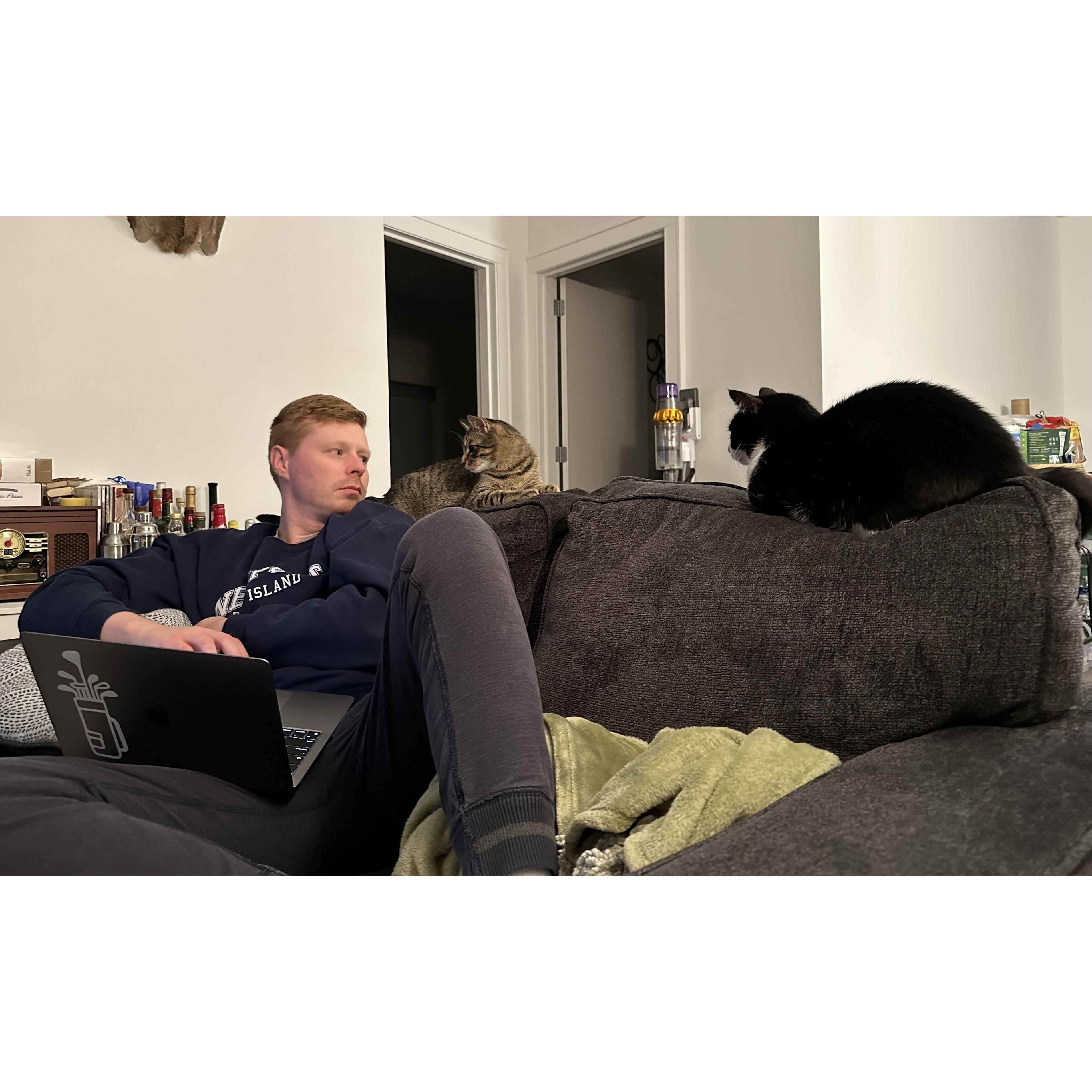 Mike with the two cats he didn't "want" but now love. He is officially a cat person.