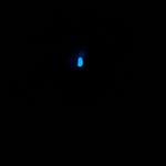 Bioluminiscencia