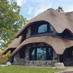 Mushroom House Tours