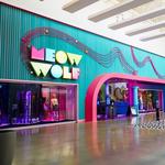 Meow Wolf Grapevine's The Real Unreal