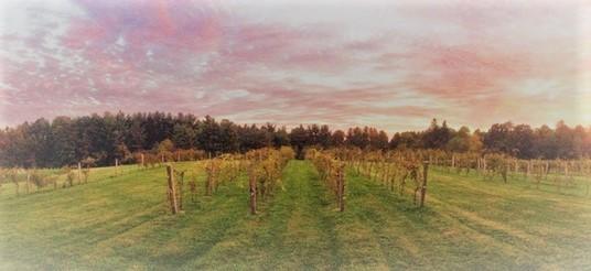 The Wedding Website of Kevin Kuntz and Michelle Borsz