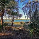 Pinckney Island