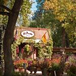 El Pinto Restaurant