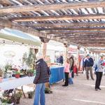 Oro Valley Farmer's Market