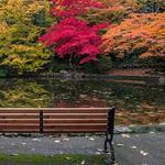 Lithia Park
