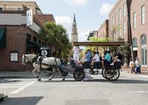 Palmetto Carriage (Horse and buggy tours)