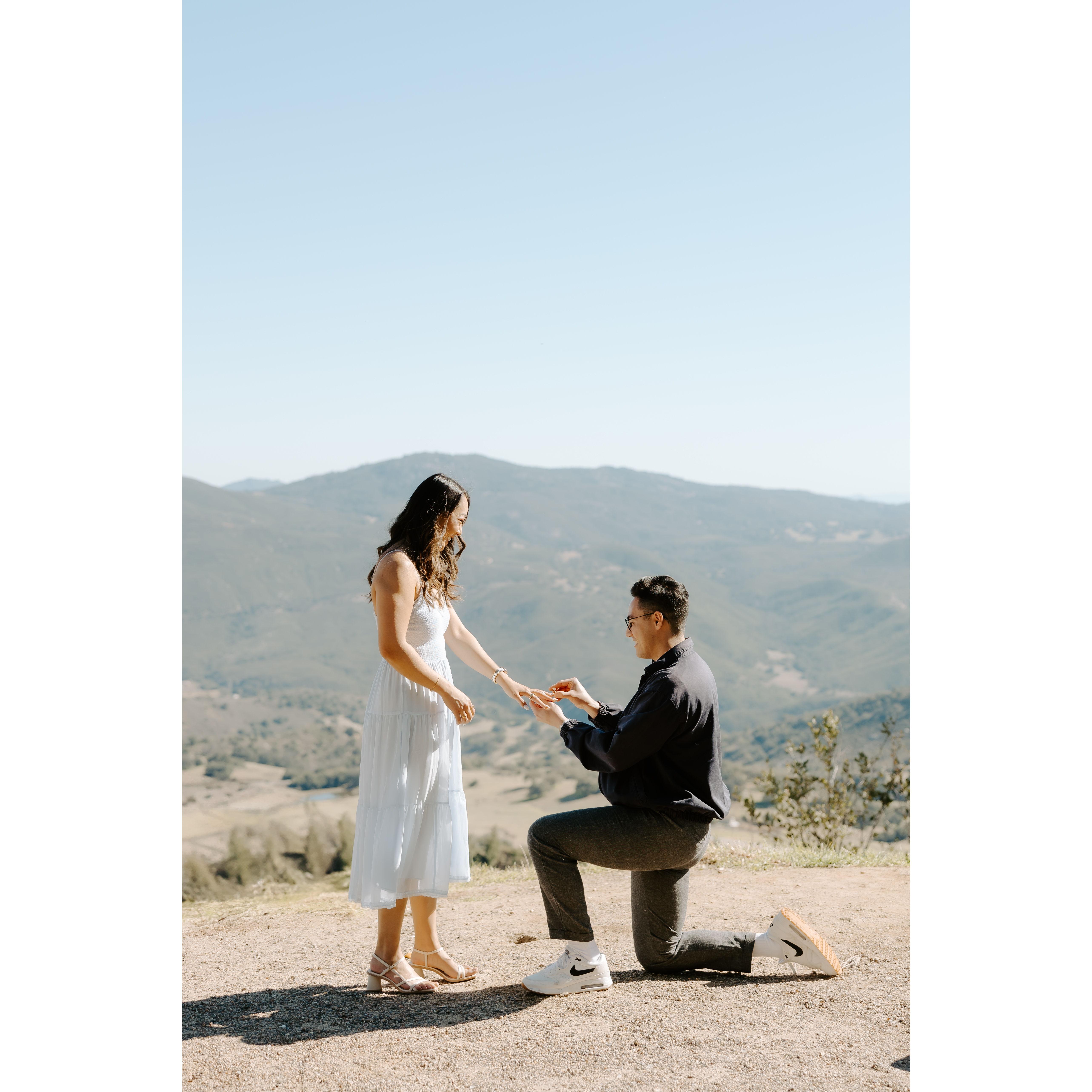Nick pops the question in March 2025!
