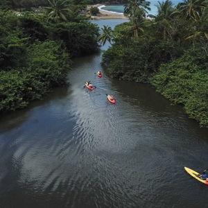 Marigot Bay Kayaking Experience