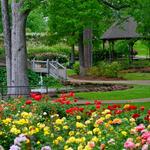Tyler Rose Garden