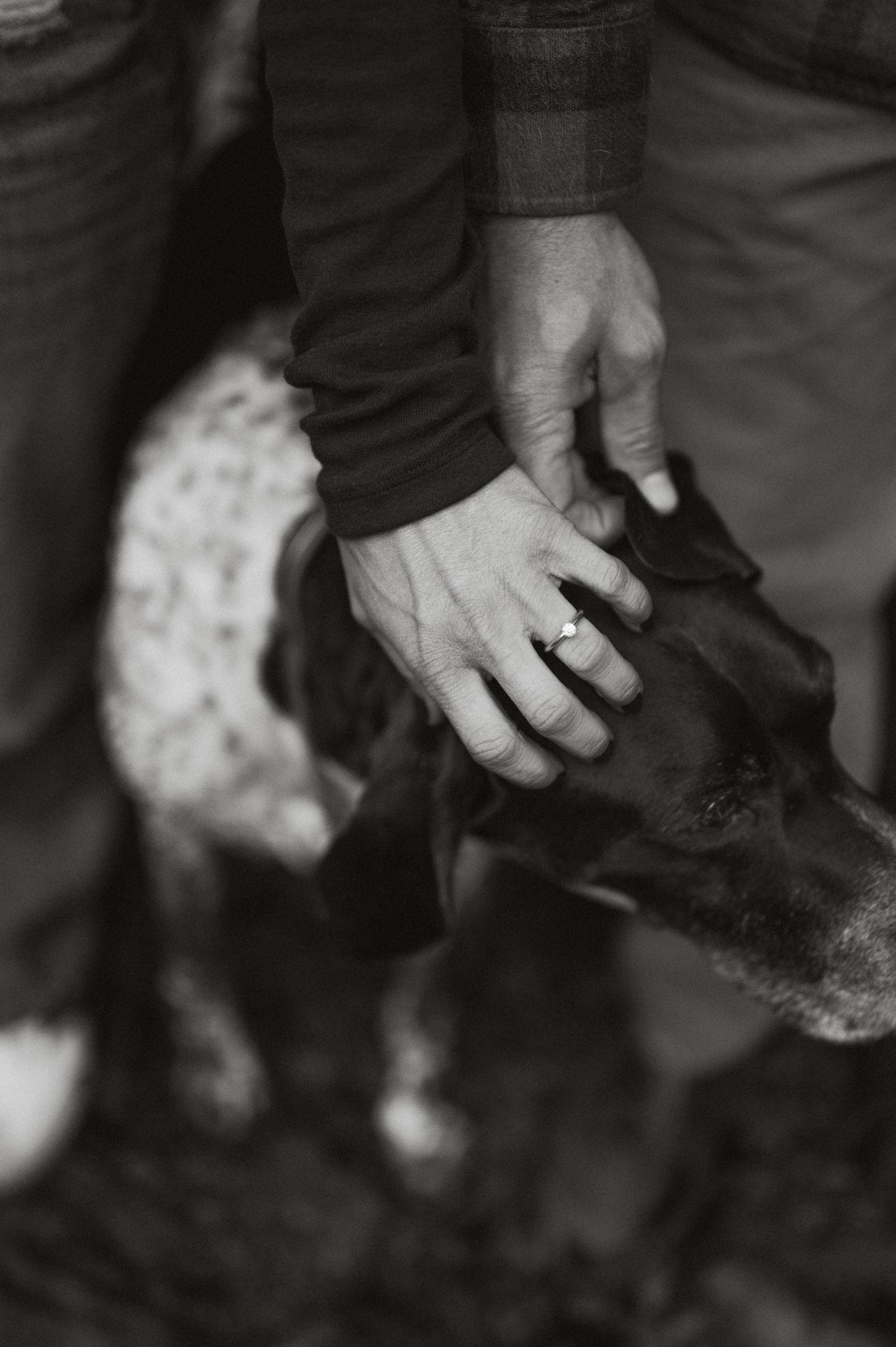 The Wedding Website of Allison Migun and Elliott Brown