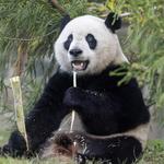 Smithsonian National Zoological Park