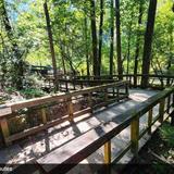 Old Mill Park