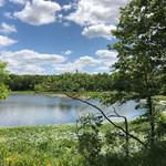 Lake Erin
