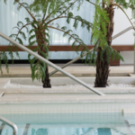 Spa and Relaxation