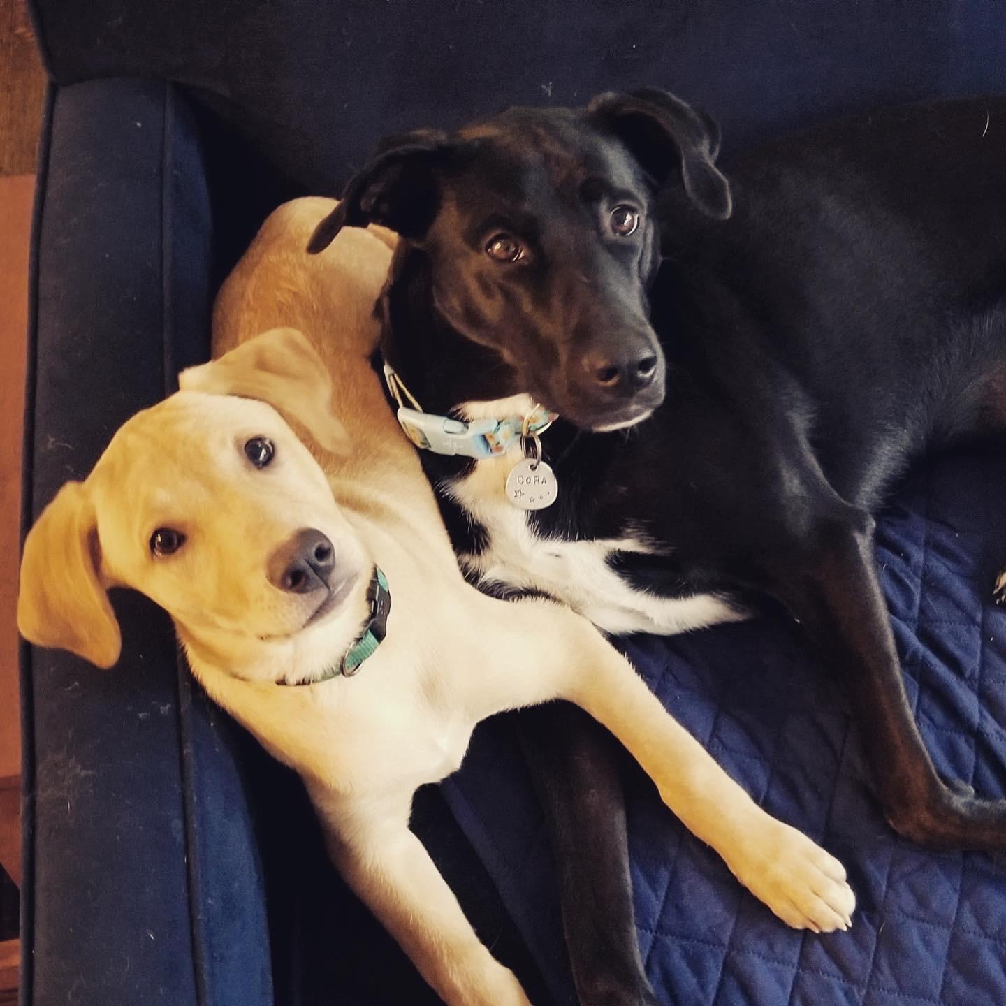 Two booties.
