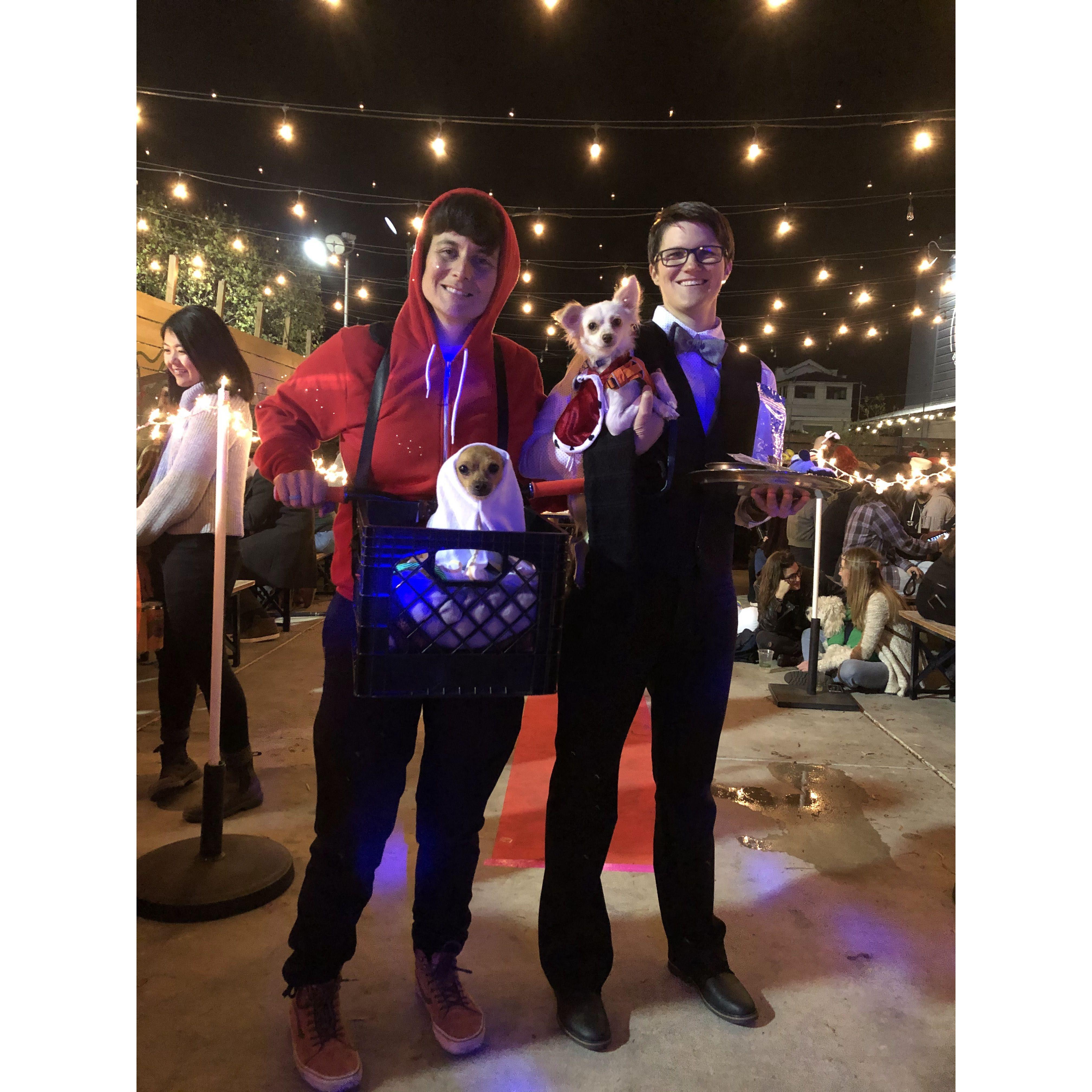 Oct 2019, Temescal Brewery costume contest, when Oakley won first place as ET!