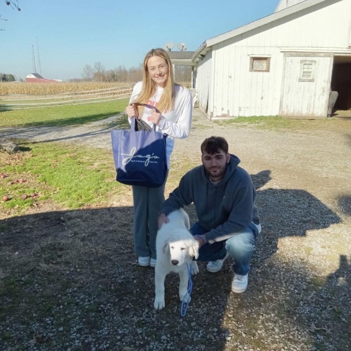 Getting My Dog Moose-2023