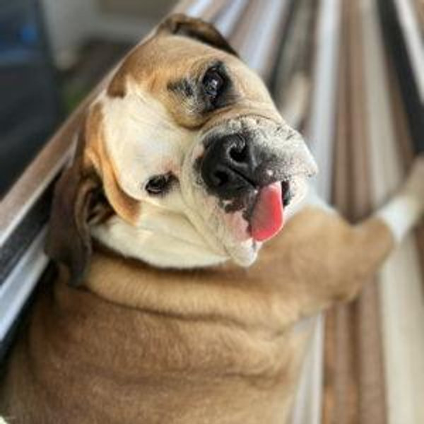 Ruby's "Ruffing It" Fund
