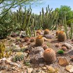 Arizona-Sonora Desert Museum
