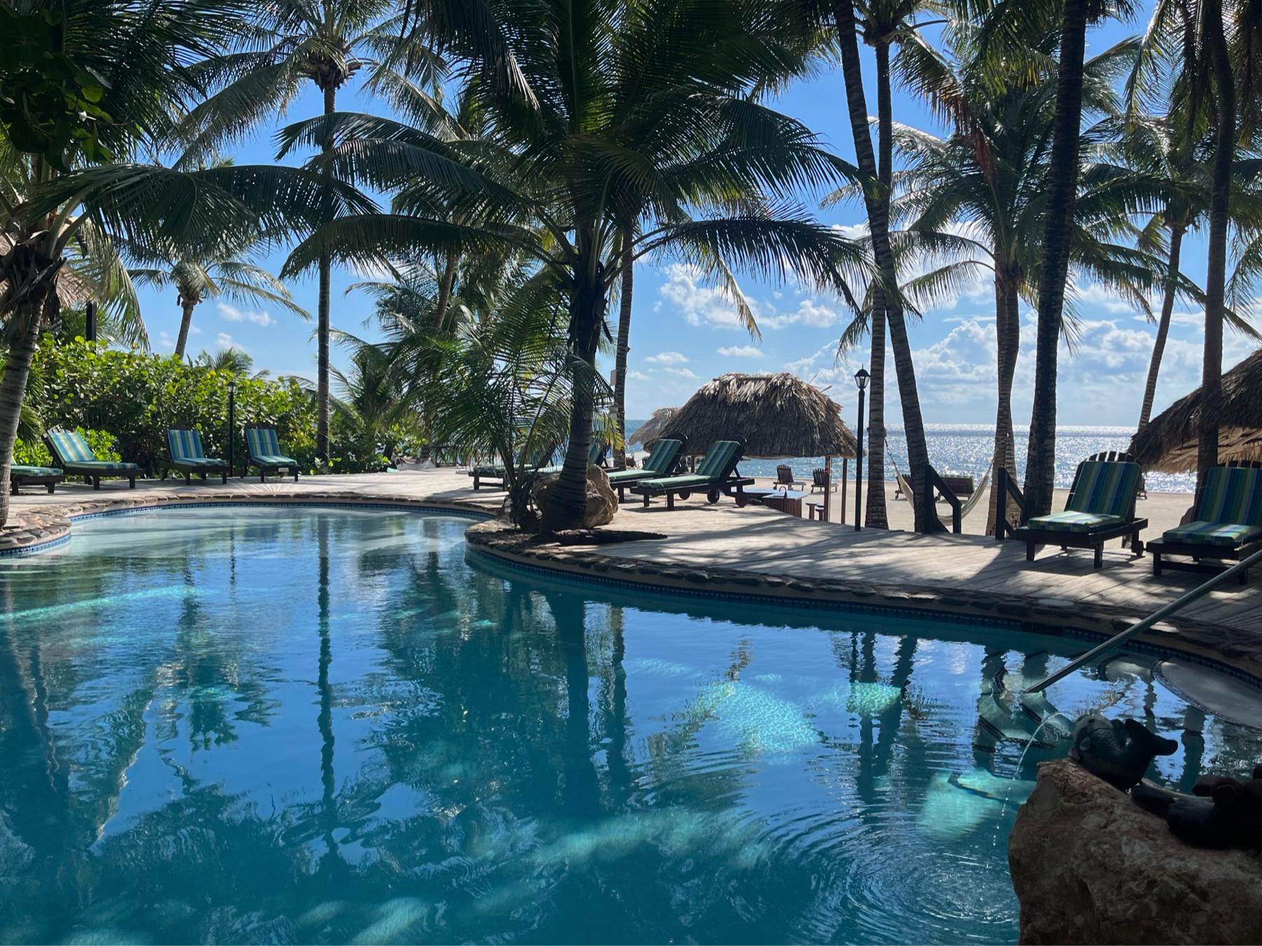 The Wedding Website of Michael Nelson and Marie Laugier