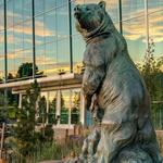 Denver Museum of Nature & Science
