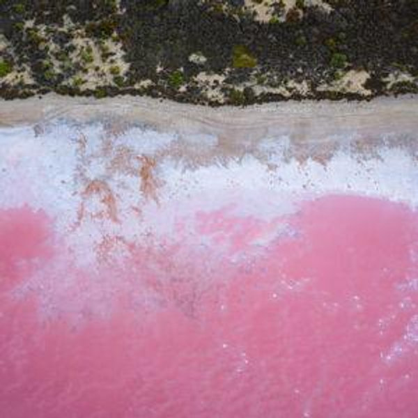Floating in Australia’s Pink Lake