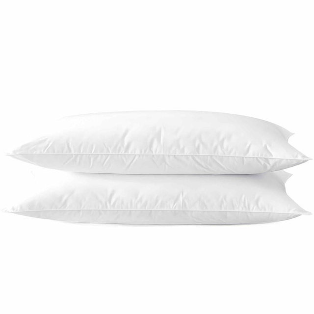 Acteb Ultra Thin Flat Soft Bed Pillows Queen Size Set of 2 Pack for Sleeping 20"x30", Hypoallergenic Skin Friendly Machine Washable