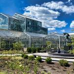 Frederik Meijer Gardens & Sculpture Park