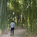 San Diego Botanic Garden