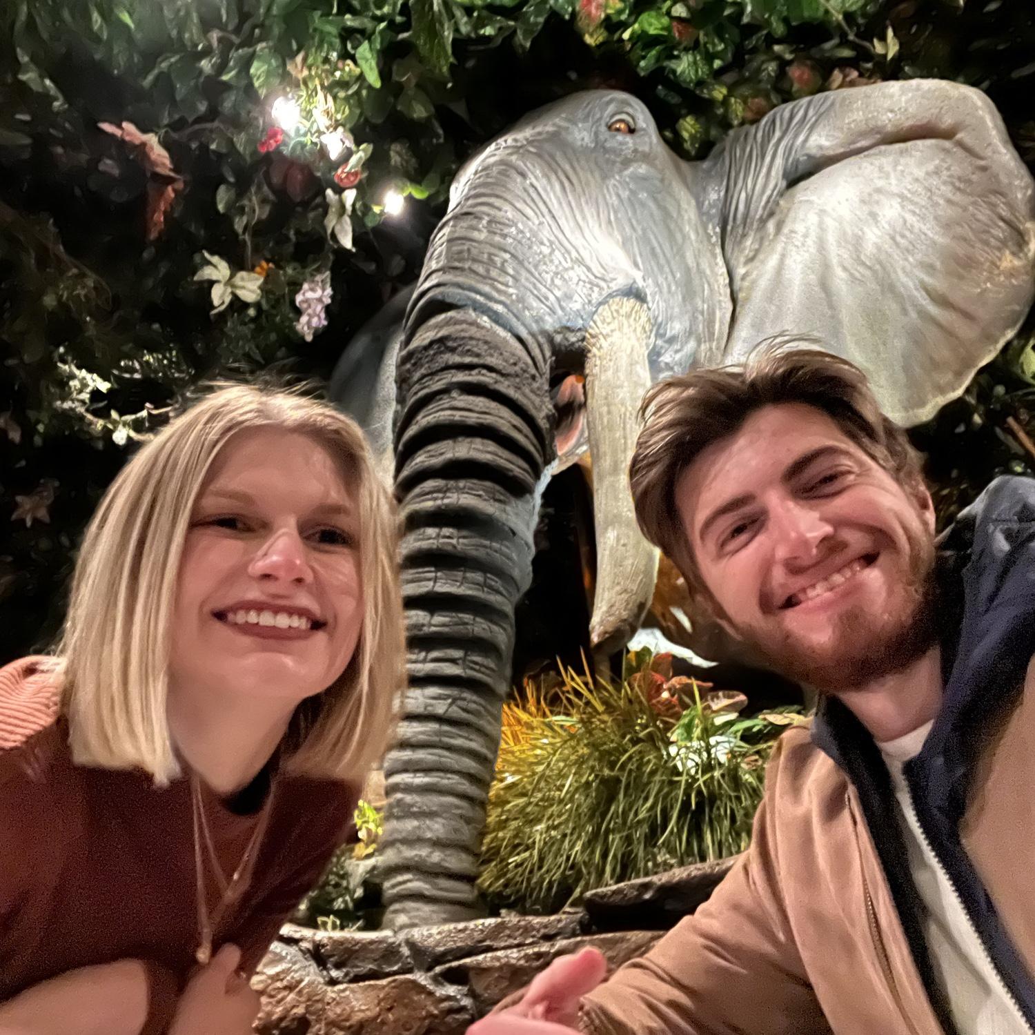 The Rain Forest Cafe in San Antonio, TX. January 2022.