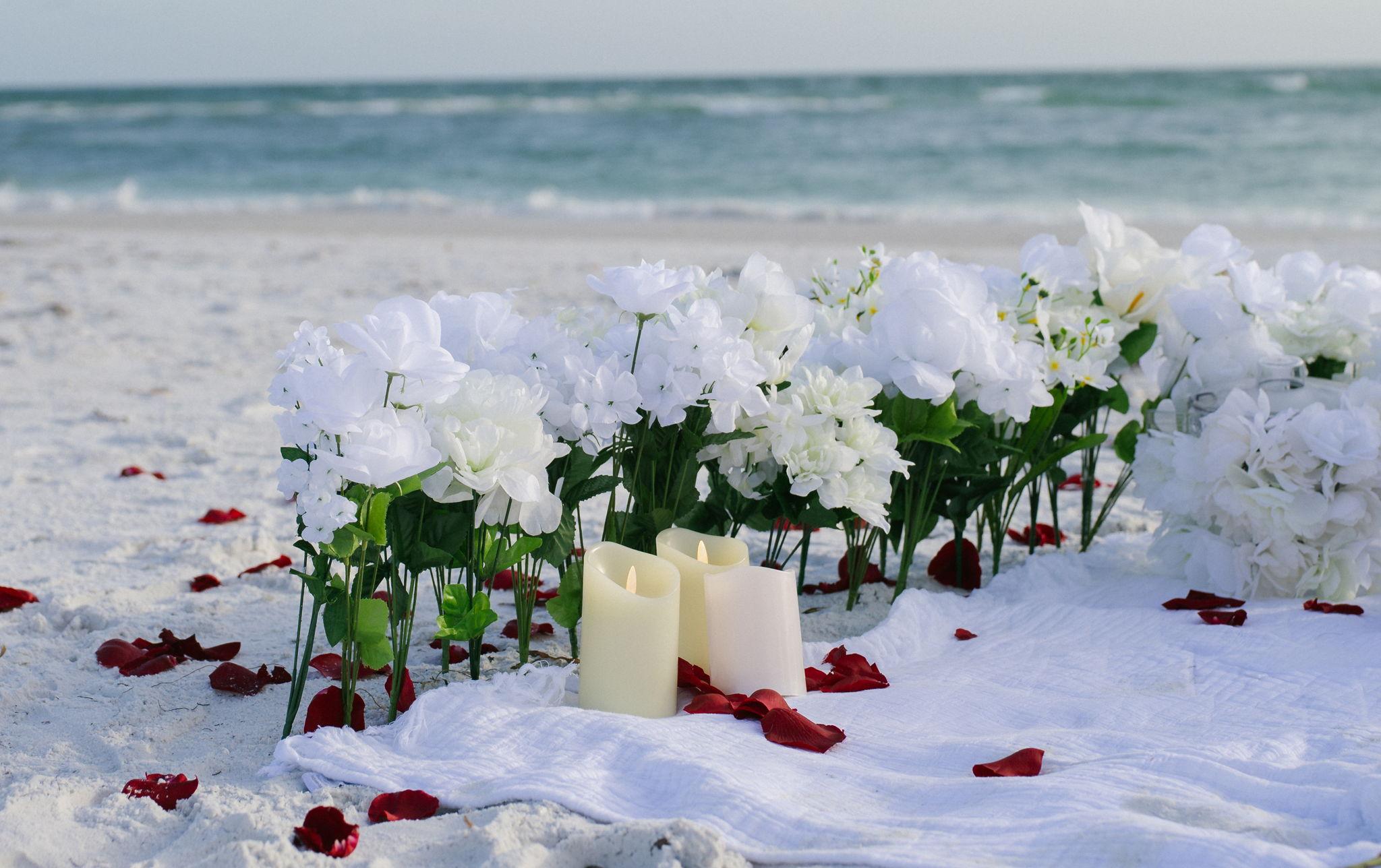 The Wedding Website of Diana Kodra and Ben Kroneberger