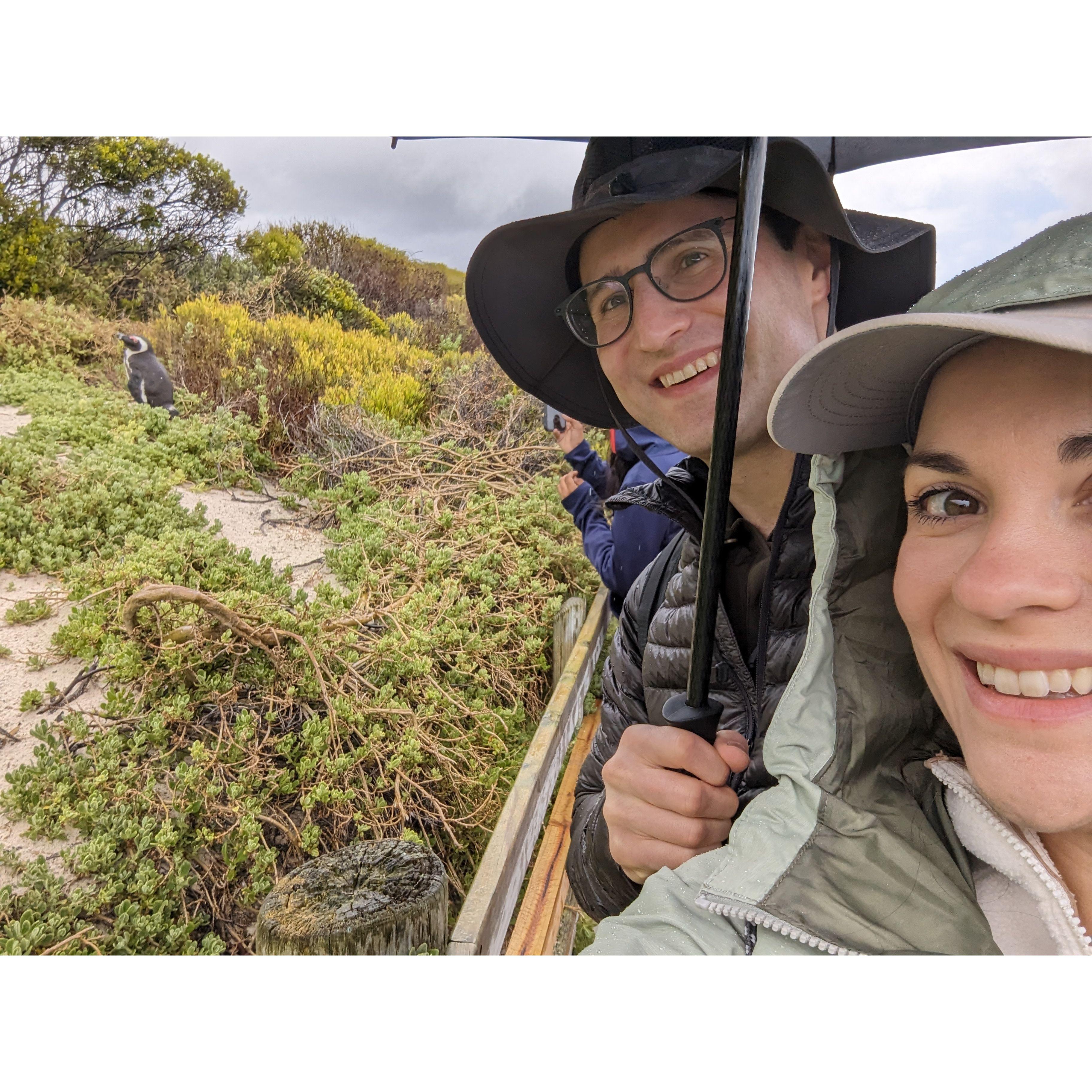 Hanging out with the penguins in South Africa