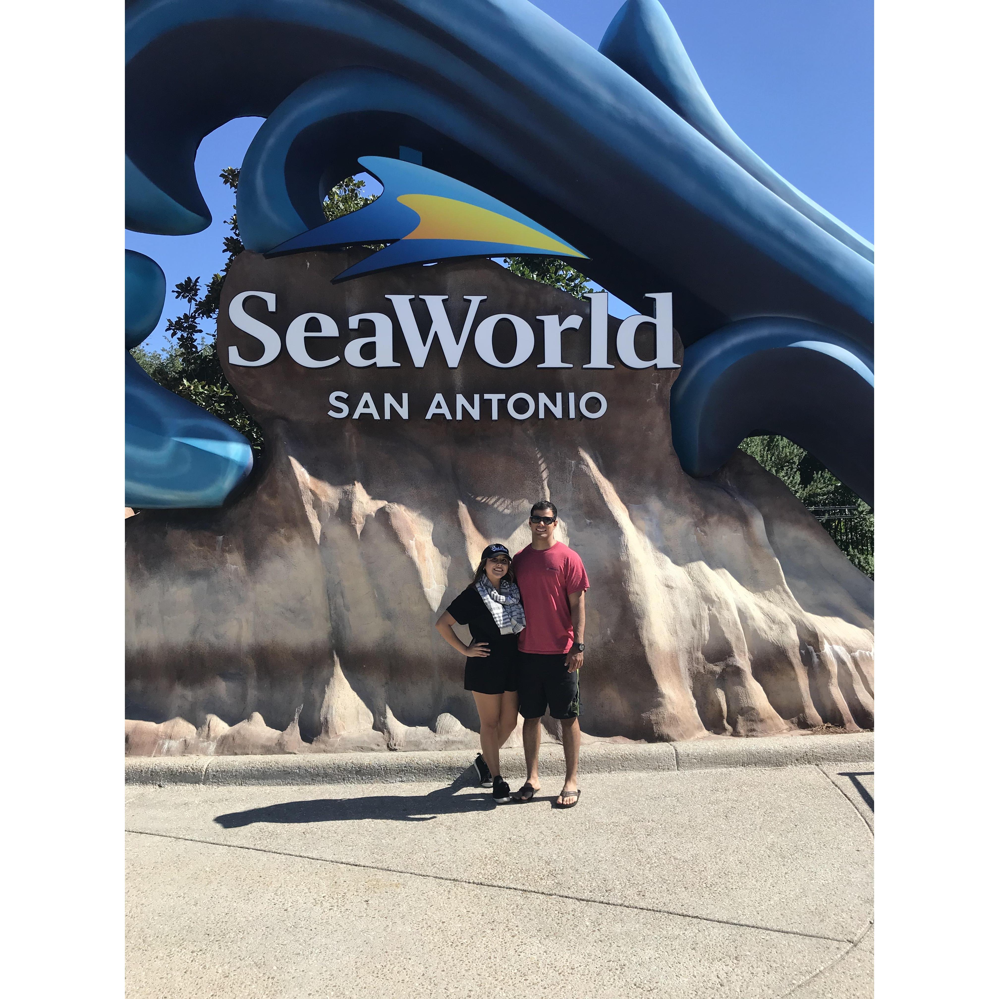 SeaWorld San Antonio 2018
