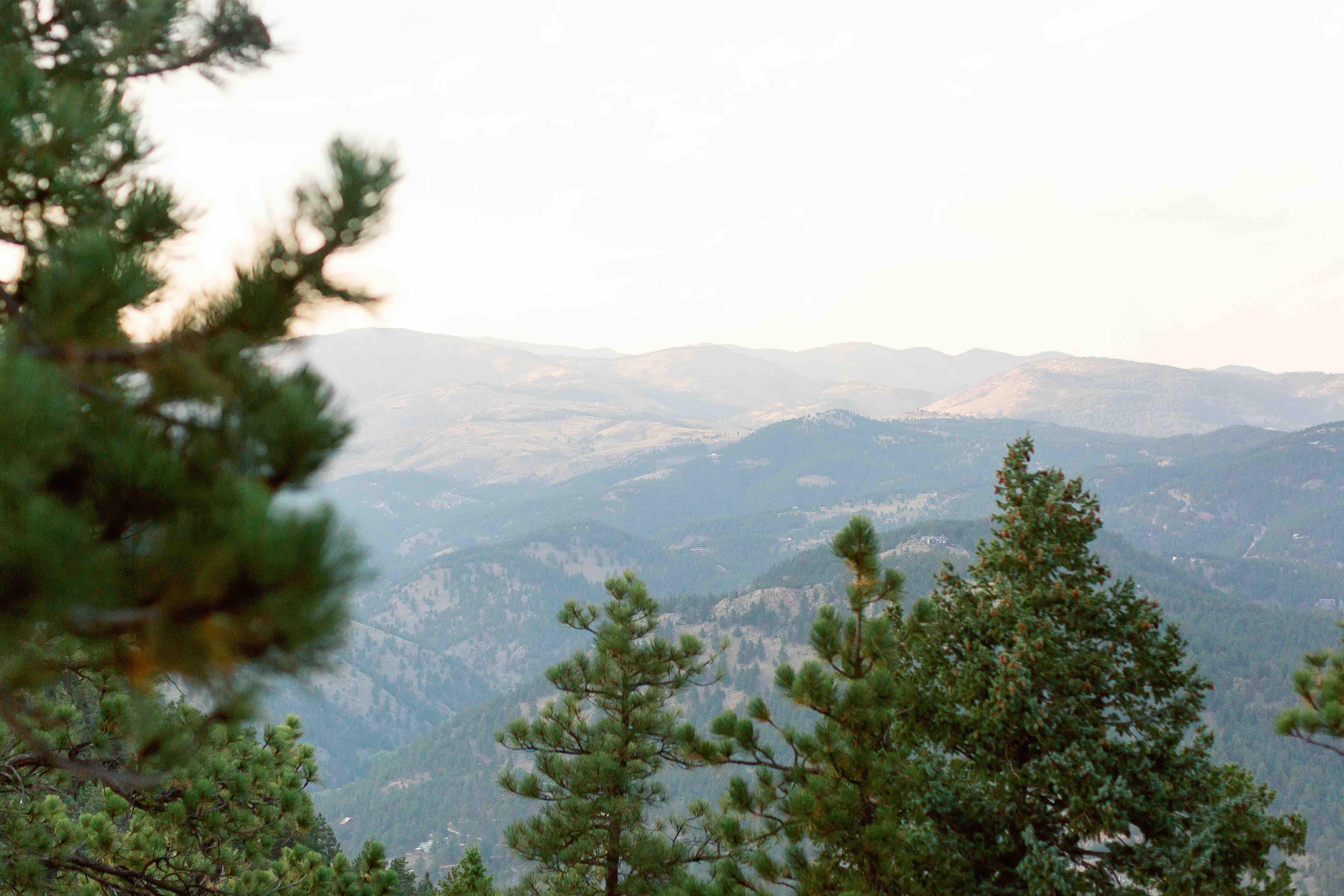The Wedding Website of Molly Cook and Jordan Oster