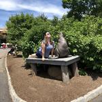 Turtle Back Zoo
