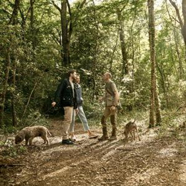 Truffle Hunting Experience in Tuscany, Italy