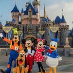 Walt Disney World® Resort