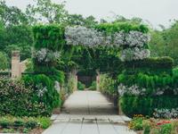 New Orleans Botanical Gardens