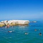 Excursion to Egmont Key