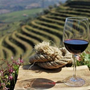 Honeymoon Winery Tour - Douro Valley, Portugal