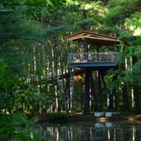 Whiting Forest of Dow Gardens
