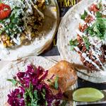 Taco Luchador