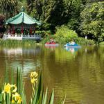 Golden Gate Park