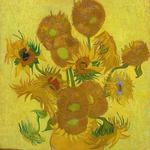 Check out the Sunflowers at Van Gogh Museum
