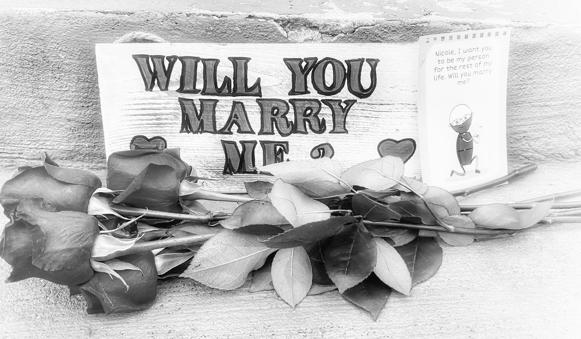The Wedding Website of Tony Ullmer and Nicole Bishop