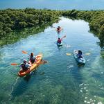 Kayak Tours